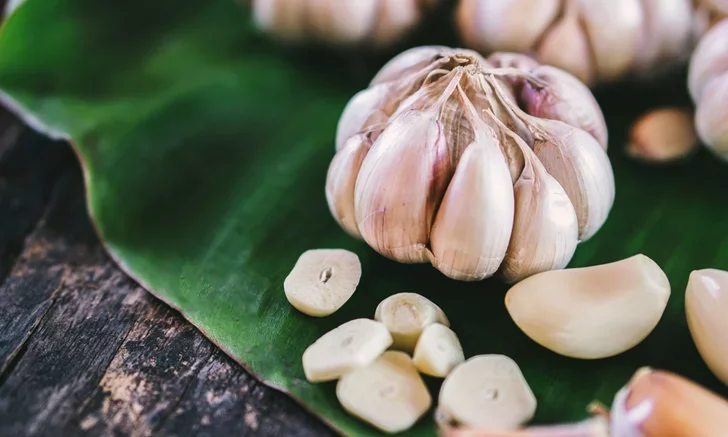 10 Thai herbs, benefits and harms that you should know before eating